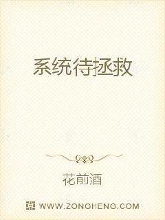 系统待拯救