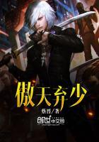 傲天弃少