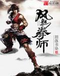 风影拳师